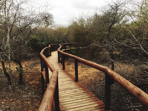 Photo une passerelle en bois contre le ciel