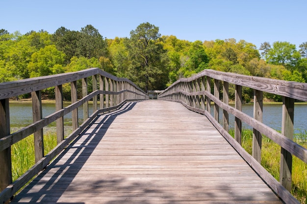 Photo une passerelle en bois dans la forêt contre un ciel dégagé