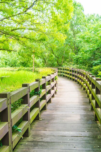 passerelle en bois dans le jardin à Cheonjeyeon Falls, Jeju Island