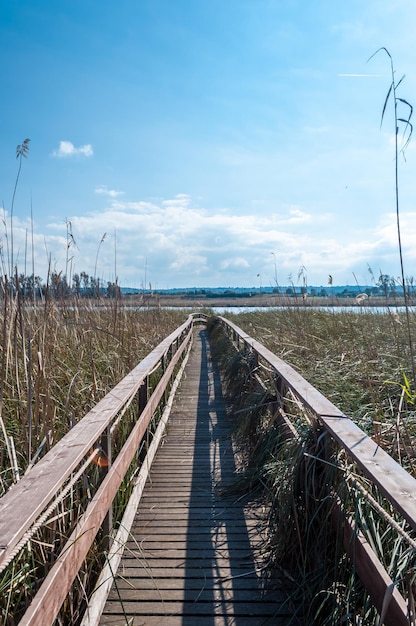 Passerelle en bois près de l'étang