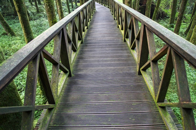 La passerelle de bois à Taiwan