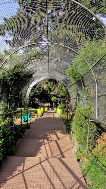 Passerelle ou chemin menant aux points de vue au sommet du sommet de Doddabetta depuis la maison du télescope