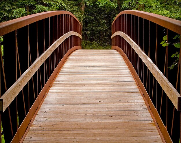 Photo une passerelle contre les arbres.