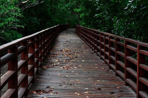 passerelle du pont naturel