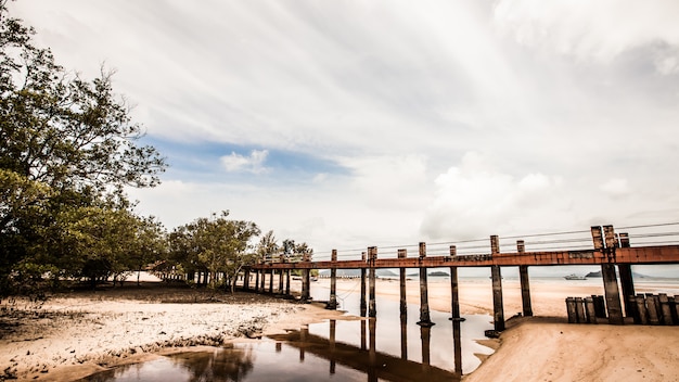 Passerelle sur la plage de la mer