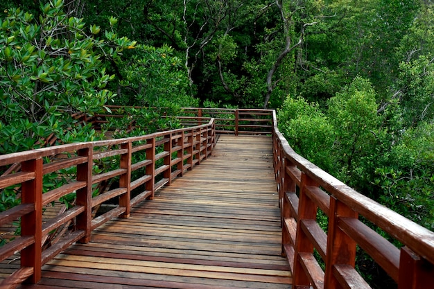 passerelle de pont en bois