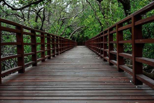 passerelle de pont en bois