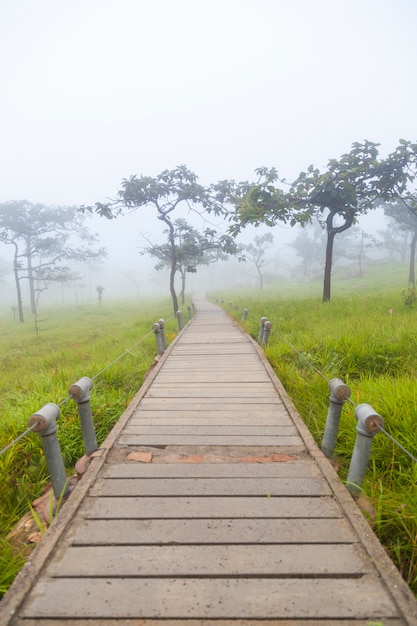 Passerelle de pont en bois