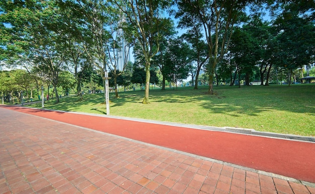 Passerelle pour faire de l'exercice avec un beau jardin verdoyant