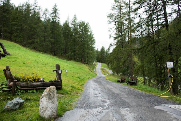 Passerelle route de pierre concassée pour la marche et la randonnée et le vélo aller à la forêt et à la montagne des Alpes au village de Samnaun près de la montagne des Alpes dans les Grisons Suisse