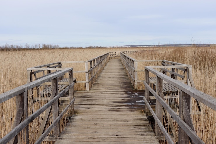 Photo passerelle vide menant vers le paysage contre le ciel