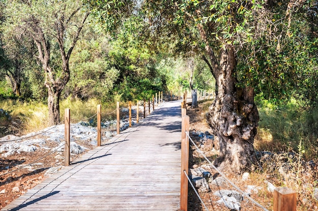 Passerelles en bois sur l'île de Cléopâtre l'île de Sedir Mer Égée Marmaris Turquie