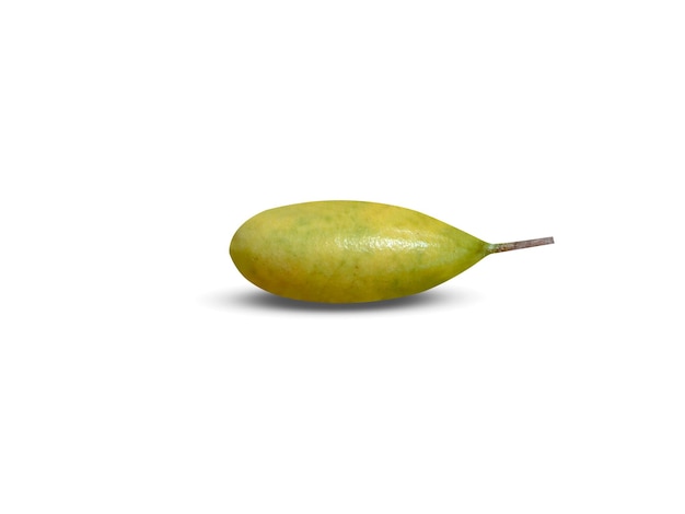 Passiflora tarminiana ou curuba est un fruit comestible et utilisé dans divers procédés alimentaires