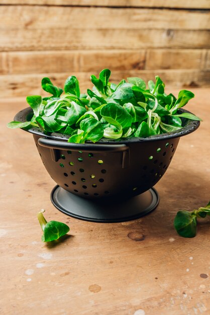 Passoire en métal noir avec feuilles de salade de maïs