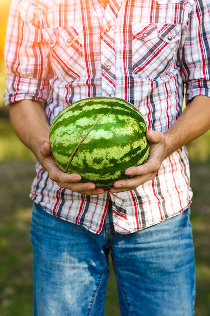 Pastèque entre les mains d'un mec sur la nature dans le parc