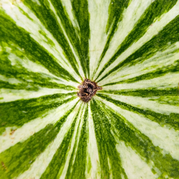 Pastèque zeste de rayures vertes comme arrière-plan, gros plan