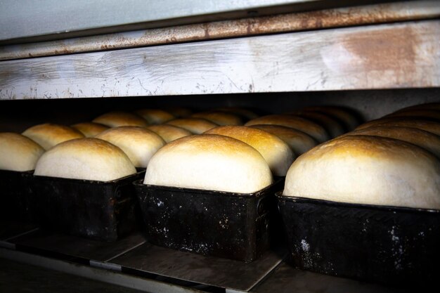 La pâte déposée pour le pain est adaptée et prête pour la cuisson