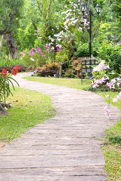 Photo pathway in flower garden