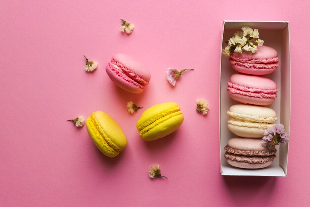 Pâtisseries macarons français en boîte sur fond rose pastel. Mise au point sélective, vue de dessus, pose à plat.