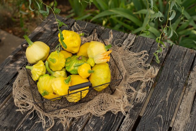 Patisson, courge, potiron en forme de plat, légume cru sur un fond en bois foncé