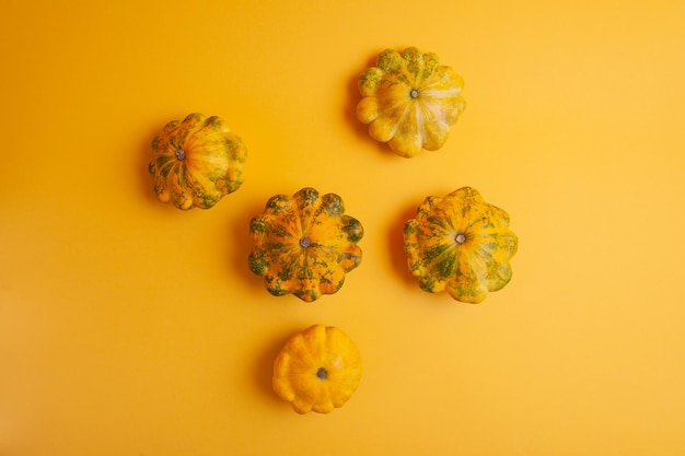 Patissons ou courges sur fond jaune