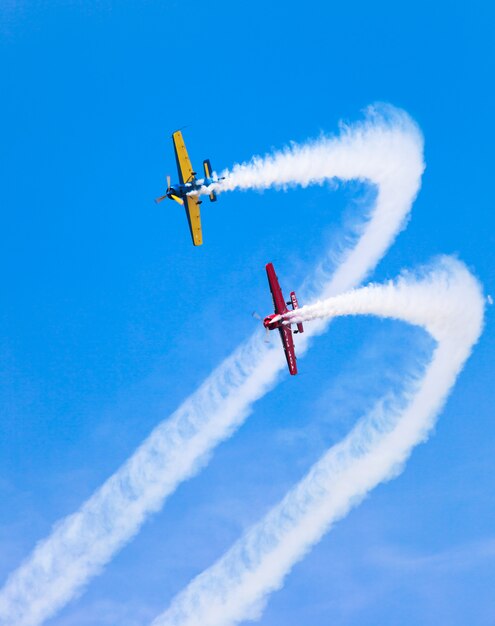 Patrouille de serpent