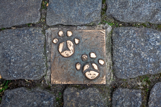 Pattes en bronze d'un animal sur un trottoir dans la ville de Brême.