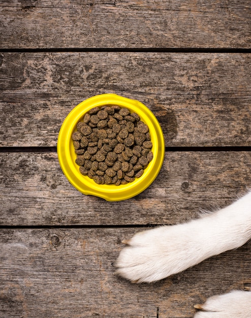 Pattes de chien et bol de nutrition sèche. Concept de nourriture pour animaux