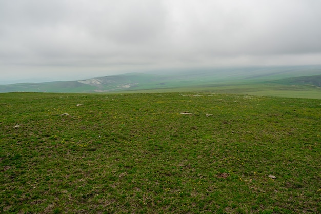 Pâturage d'altitude à végétation clairsemée. Un grand champ de montagne où poussent des plantes vertes sans arbres avec un front de pluie à l'horizon.