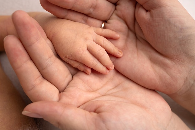 La paume d'un nouveau-né dans la paume des parents. Gros plan d'une petite main d'un enfant et des paumes de la mère et du père. Concept de parentalité, de garde d'enfants et de soins de santé.