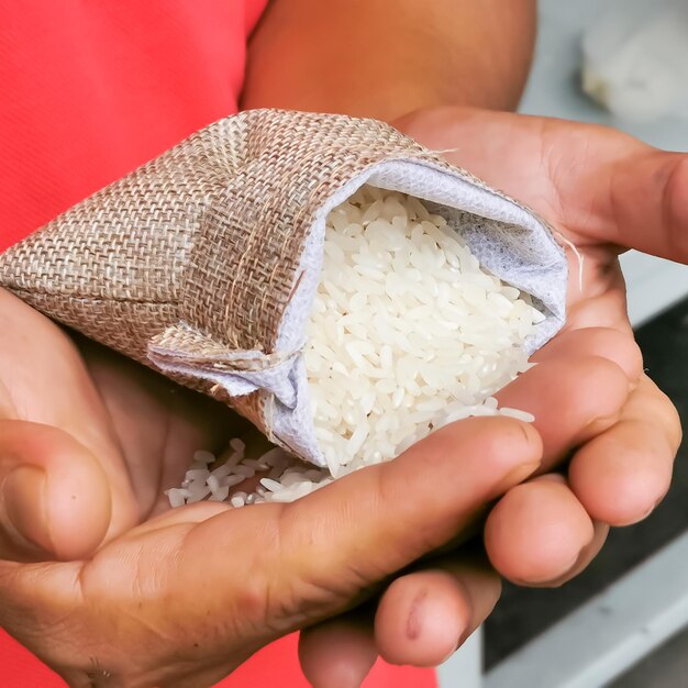 Paume Avec Un Tas De Riz.