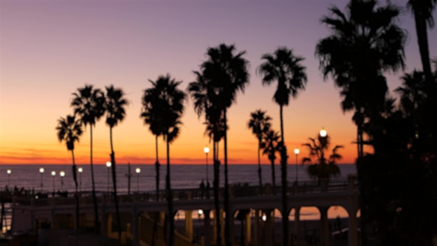 Paumes défocalisées, ciel crépusculaire, California USA. Ambiance de coucher de soleil sur la plage tropicale. Ambiance de Los Angeles.