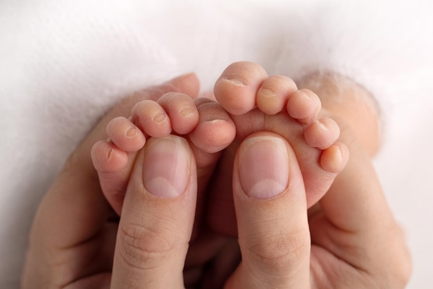 Les paumes du père, la mère tiennent le pied du nouveau-né. Pieds du nouveau-né sur les paumes des parents. Photographie en studio des orteils, des talons et des pieds d'un enfant. Concept.