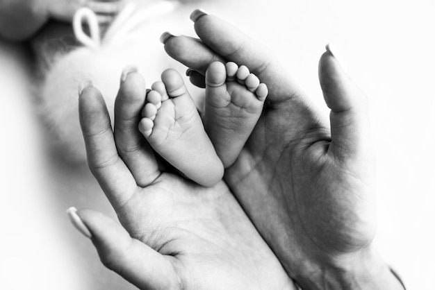 Les paumes des parents Une mère tient un nouveau-né par les jambes Les pieds d'un nouveau-né dans les mains des parents Photo des talons et des doigts Macrophotographie en studio noir et blanc