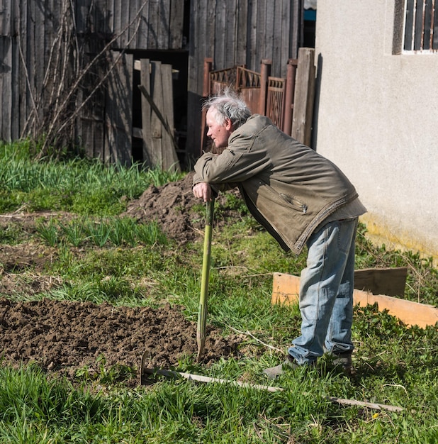 Pauvre fermier binant le potager au printemps