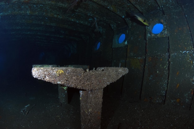 Épave du Boga. Vie marine de Tulamben, Bali, Indonésie.