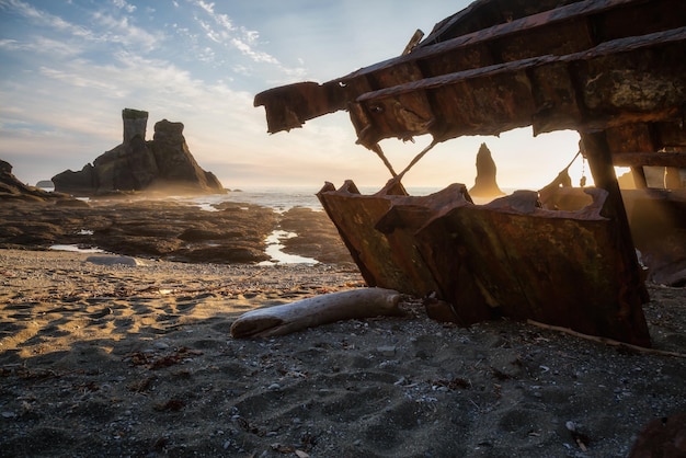 Épave à la plage