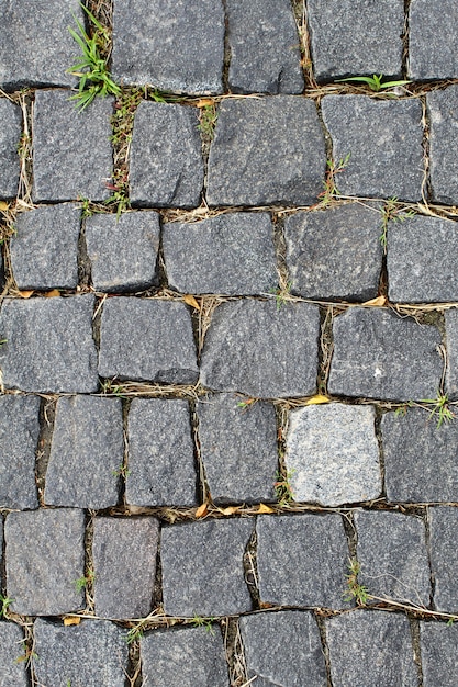 Pavé