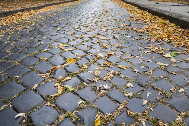 pavés en pierre polie avec des feuilles tombées jaunes