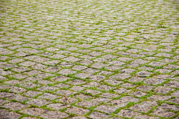 Photo des pavés recouverts d'herbe