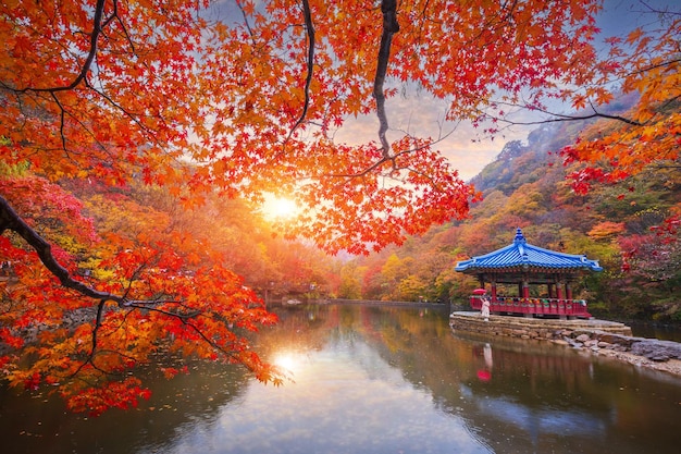 Un pavillon au milieu d'un petit remblai au coucher du soleil et des feuilles d'automne colorées au parc national Naejangsan Corée du Sud