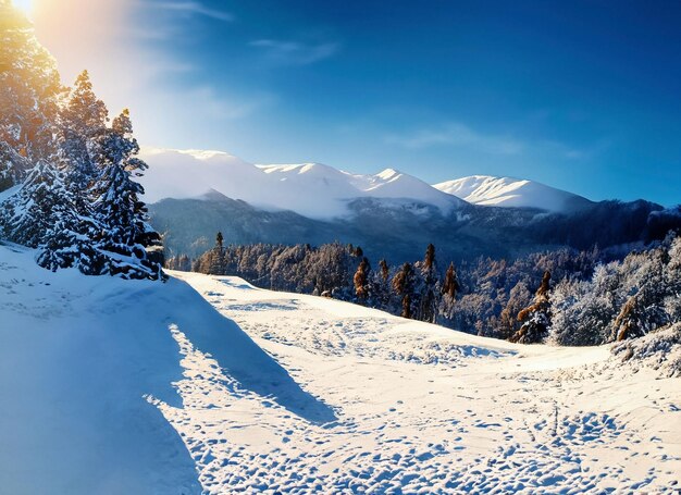 Pays des merveilles enneigé sous le soleil Une journée d'aventure