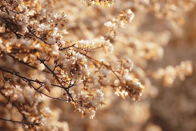 paysage abstrait dans le jardin de pommiers de printemps, beau fond saisonnier