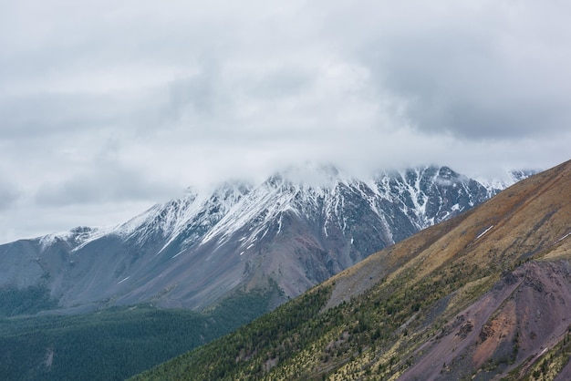 Paysage aérien atmosphérique avec une forêt verte sur le flanc d'une montagne dorée contre une haute chaîne de montagnes enneigées dans des nuages bas pluvieux Beau paysage spectaculaire avec de grandes montagnes enneigées dans un ciel nuageux gris bas