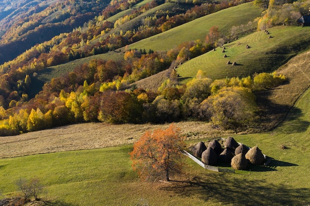 Photo paysage aérien d'automne dans les montagnes
