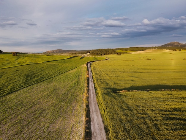 paysage aérien de champs de blé