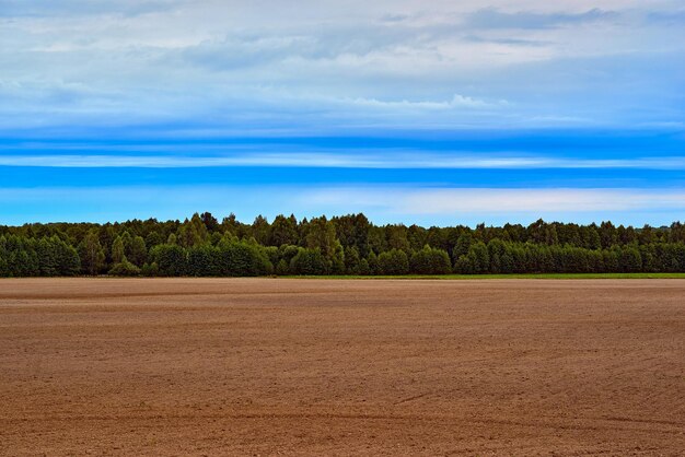 Paysage agricole avec champ arable au premier plan et forêt à l'horizon avec ciel nuageux