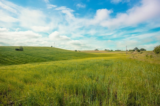 Paysage agricole avec ciel nuageux Champs verts sur les collines