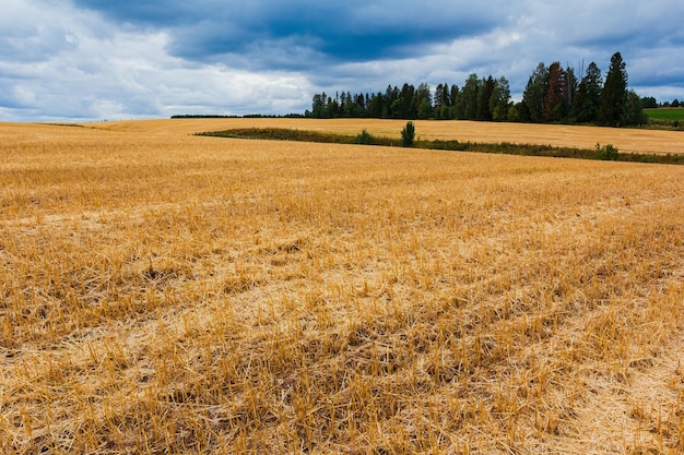 Paysage agricole avec terres labourées et champs ruraux vides après la récolte