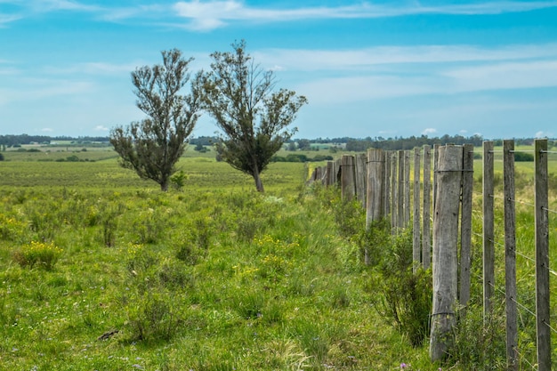 Paysage agricole